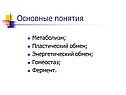 Основные понятия