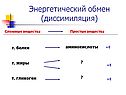 Энергетический обмен (диссимиляция)