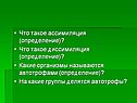 Ассимиляция
