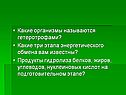 Какие организмы называются гетеротрофами