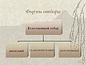 Формы отбора