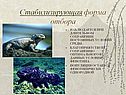 Стабилизирующая форма отбора