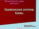 Кровеносная система