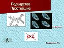 Подцарство Простейшие