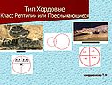 Тип Хордовые Класс Рептилии или Пресмыкающиеся