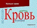 Функции крови
