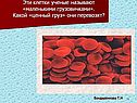 Эти клетки ученые называют «маленькими грузовичками»