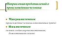 Направления представлений о происхождении человека