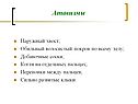 Атавизмы