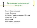 Систематическое положение человека