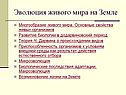 Многообразие живого мира