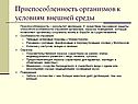 Приспособленность организмов к условиям внешней среды