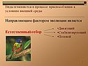 Естественный отбор
