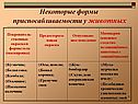 Некоторые формы приспосабливаемости у животных