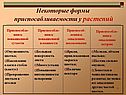 Некоторые формы приспосабливаемости у растений