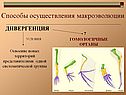 Способы осуществления макроэволюции