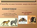 Конвергенция