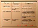 Термин