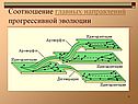 Соотношение главных направлений прогрессивной эволюции