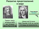 Развитие представлений о виде