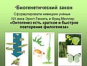 ?Биогенетический закон