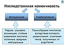 Наследственная изменчивость