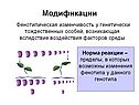 Модификации