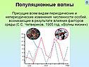 Популяционные волны