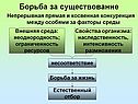 Борьба за существование
