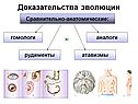 Доказательства эволюции
