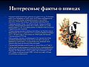 Интересные факты