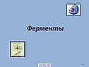 Ферменты