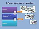 Пищеварение углеводов