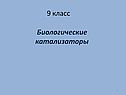 Биологические катализаторы