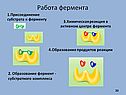 Присоединение субстрата к ферменту