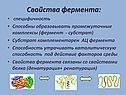 Свойства фермента