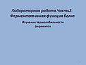 Ферментативная функция белка