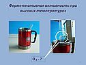 Ферментативная активность при высоких температурах