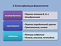 Классификация ферментов
