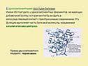 2.однокомпонентными -простыми белками; Иначе обстоит дело у
