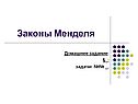 Домашнее задание