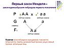 Гаметы