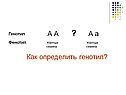 Как определить генотип