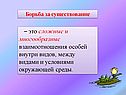 Взаимоотношения особей