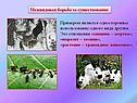 Формы борьбы за существование