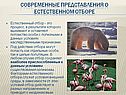 Современные представления о естественном отборе
