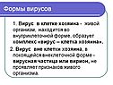 Формы вирусов