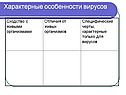 Характерные особенности вирусов
