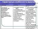 Характерные особенности вирусов