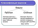 Классификация вирусов